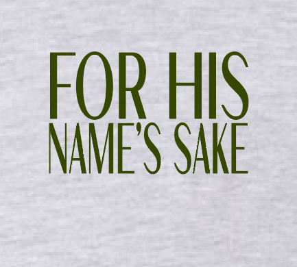 Psalm 23 BellaCanvas L/S T-shirt (heather) (youth)
