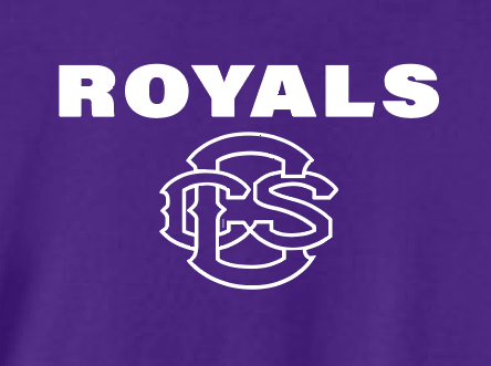 Fan Gear (6473) Nike Dri-Fit rLegend S/S T-shirt (purple)