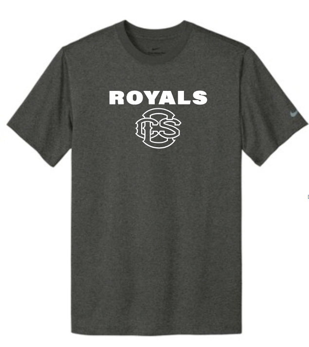 Fan Gear (6473) Nike Dri-Fit rLegend S/S T-shirt (grey)