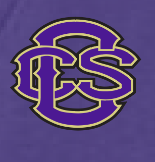 Fan Gear (6475) Port & Co V-neck T-shirt (women)(purple)