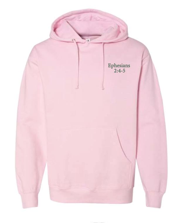 CCS Jr Class "But God" Hooded Sweatshirt (adult) (pink)