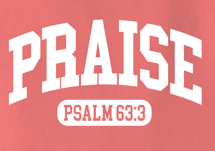 Praise Design Comfort Colors S/S T-shirt (terracotta)