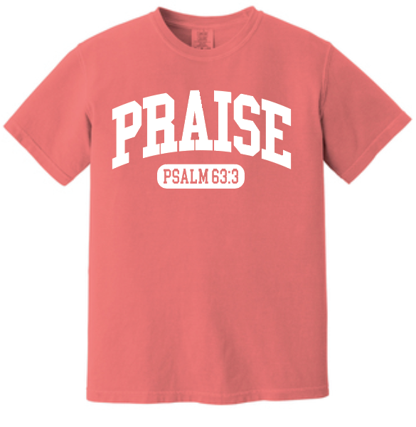 Praise Design Comfort Colors S/S T-shirt (terracotta)