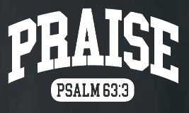 Praise Design Gildan Crewneck Sweatshirt (black)