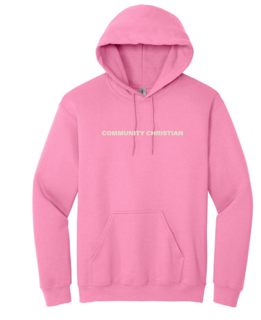 Direct Your Heart Gildan Hooded Sweatshirt (pink)