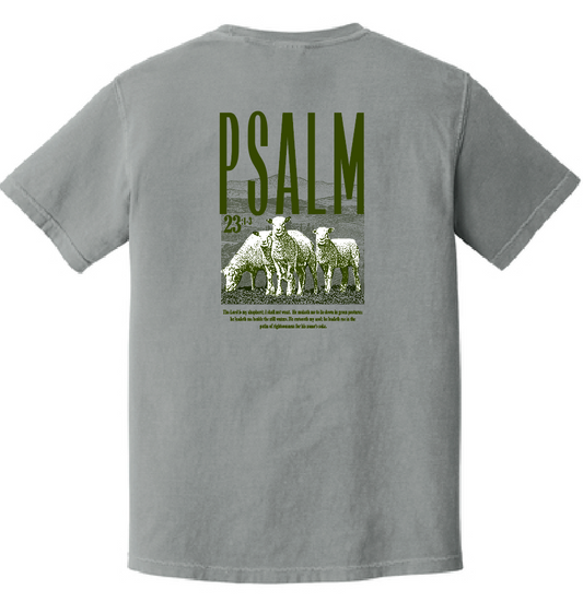 Psalm 23 Comfort Colors S/S T-shirt (grey) (adult)