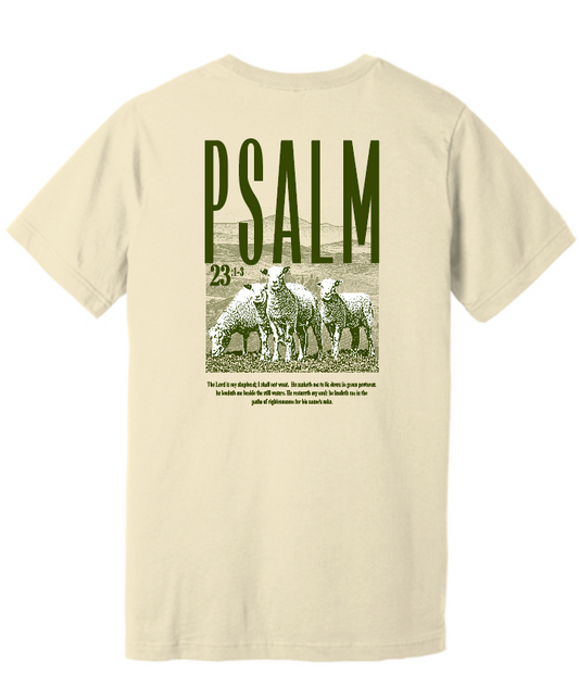 Psalm 23 BellaCanvas S/S T-shirt (natural) (youth)
