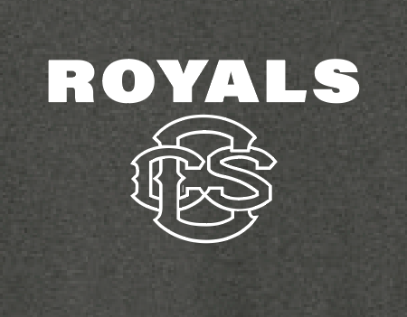 Fan Gear (6473) Nike Dri-Fit rLegend S/S T-shirt (grey)
