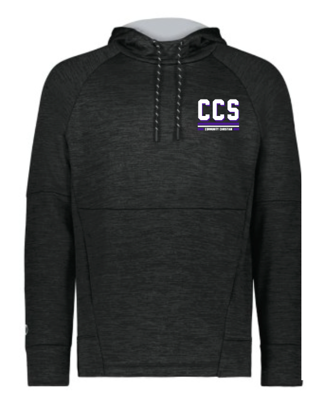Fan Gear (6471) Holloway All-Pro Performance Hoodie (black)