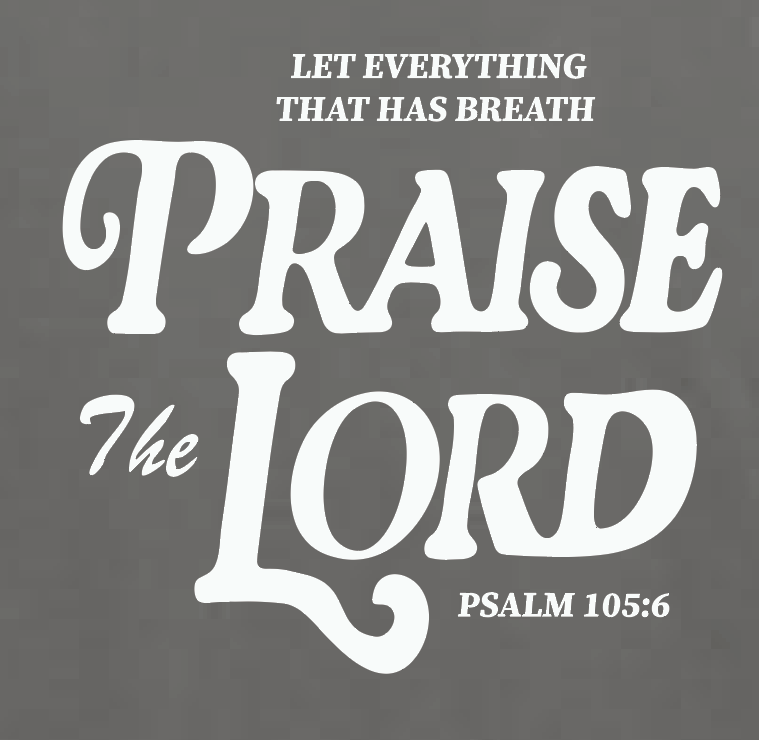 Praise the Lord Port & Co L/S T-shirt (youth)(charcoal)