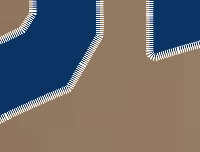 "Stitch" Port & Co Hooded Sweatshirt (brown)(youth)