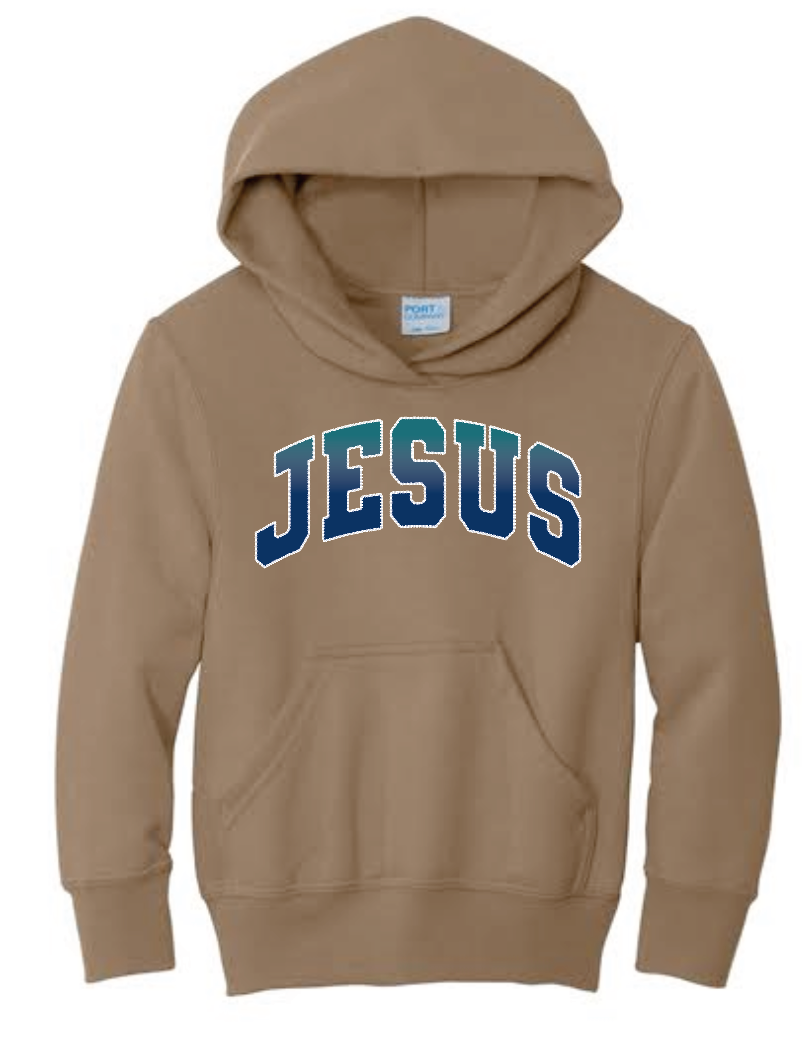 "Stitch" Port & Co Hooded Sweatshirt (brown)(youth)