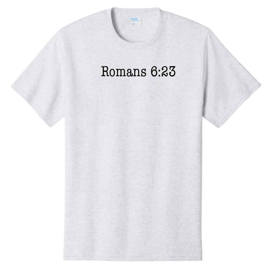 Jesus Paid it All: Basic S/S T-shirt (ash)