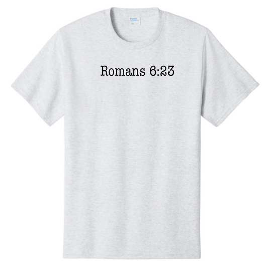 Jesus Paid it All: Basic S/S T-shirt (ash)