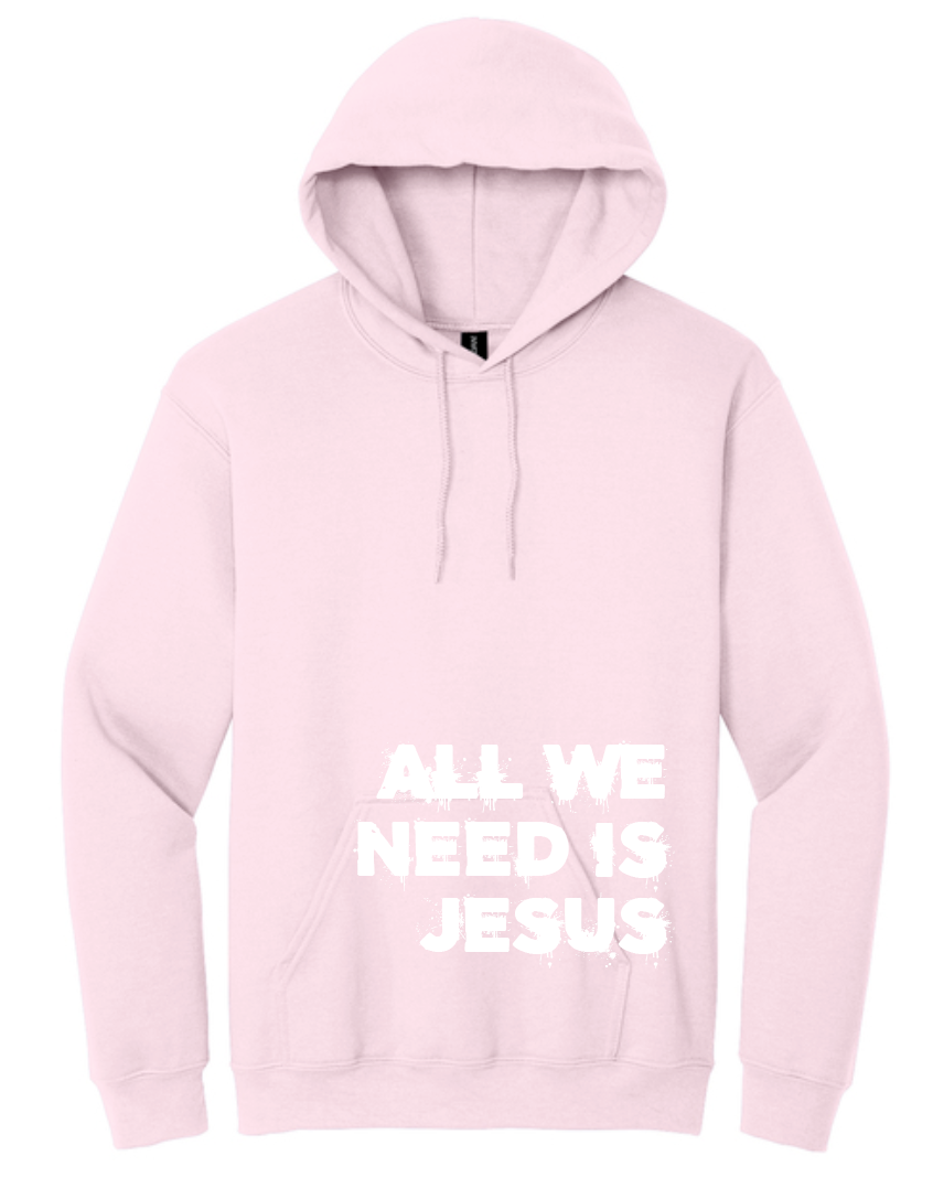 All We Need is Jesus: Softstyle Elevated Hooded Sweatshirt (pink)