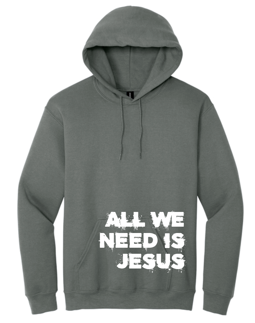 All We Need is Jesus: Softstyle Elevated Hooded Sweatshirt (charcoal)