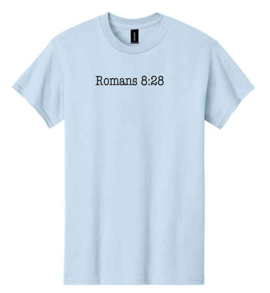 Jesus Paid it All: Basic S/S T-shirt (lt blue)