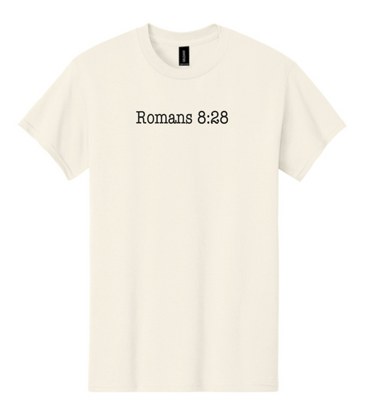 Jesus Paid it All: Basic S/S T-shirt (natural)