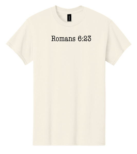 Jesus Paid it All: Basic S/S T-shirt (natural)