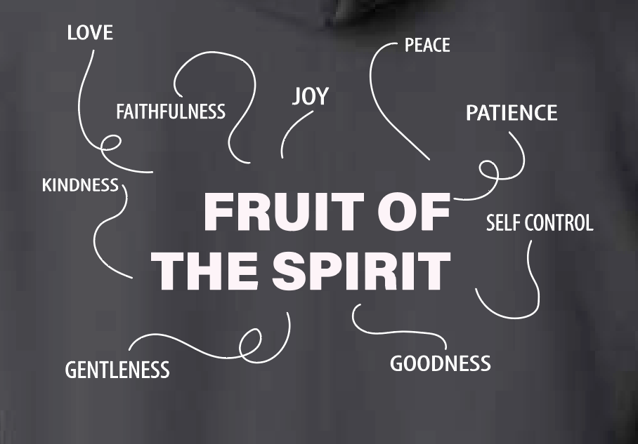 Fruit of the Spirit: Gildan Basic Zip Hooded Sweatshirt (black)