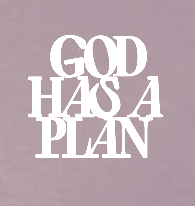 God Has a Plan: American Apparel Premium S/S T-shirt (violet)