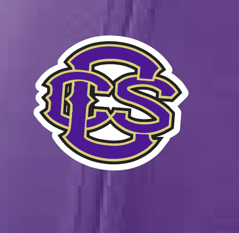 Richardson (8273) "Logo" Laser Perf R-Flex Cap (purple)