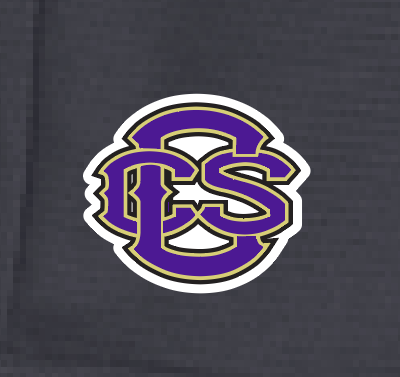 Fan Gear (8273) "CCS Logo" Sport-Tek Position Short (graphite)