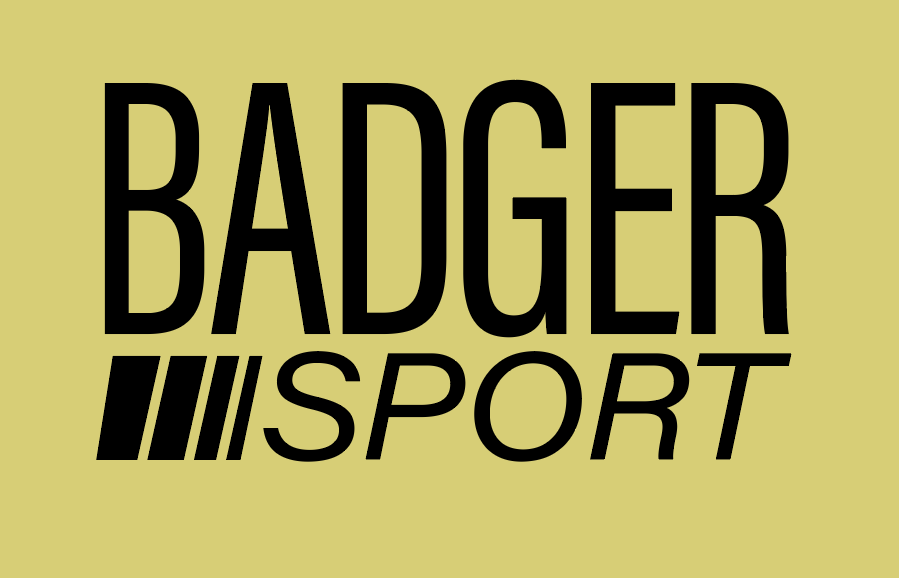 Fan Gear (8017) Badger L/S Hooded Moisture Wicking T-shirt (purple)