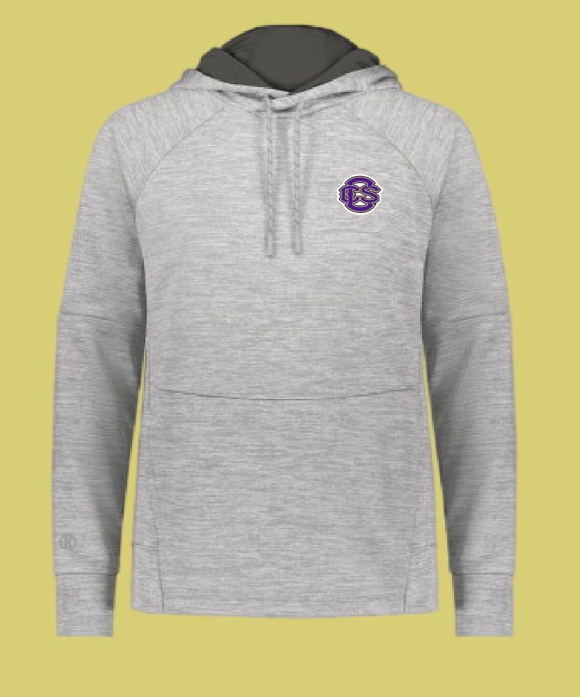Fan Gear (8273) Holloway All-Pro Performance Hoodie (heather)