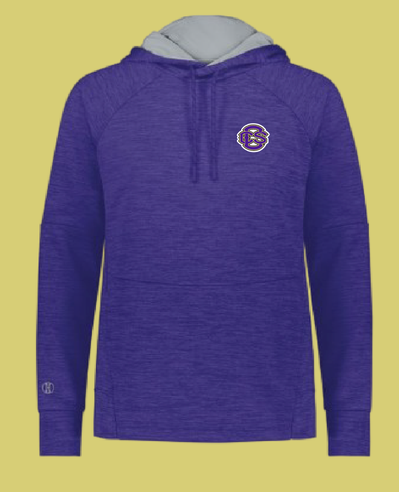 Fan Gear (8273) Holloway All-Pro Performance Hoodie (purple)