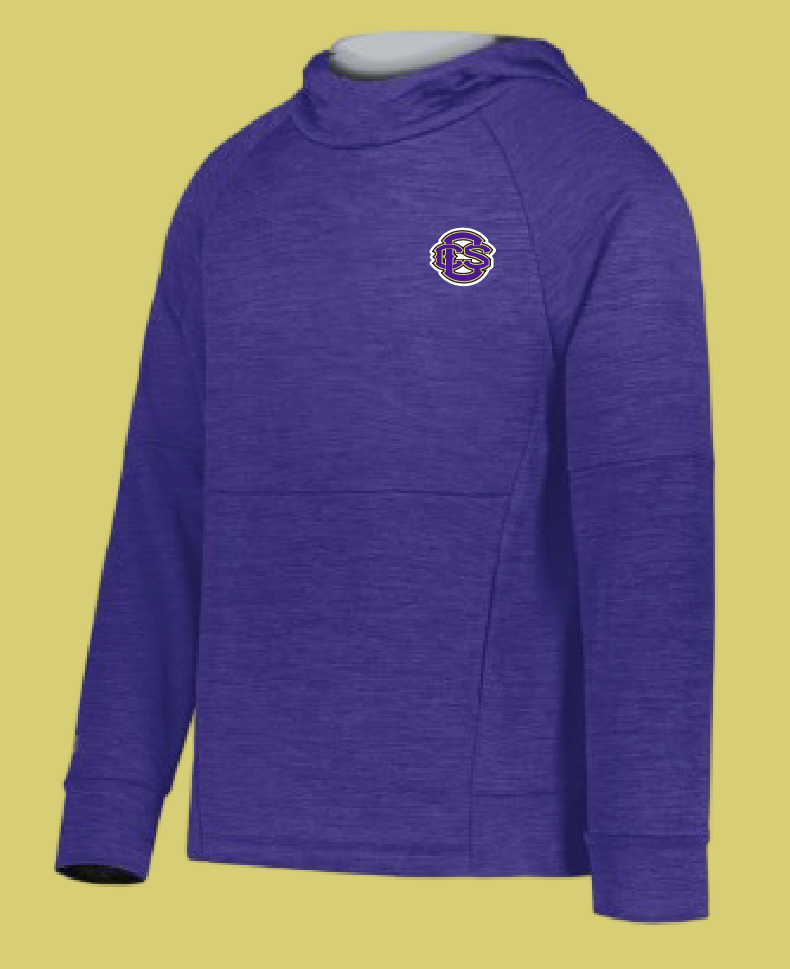 Fan Gear (8273) Holloway All-Pro Performance Hoodie (purple)