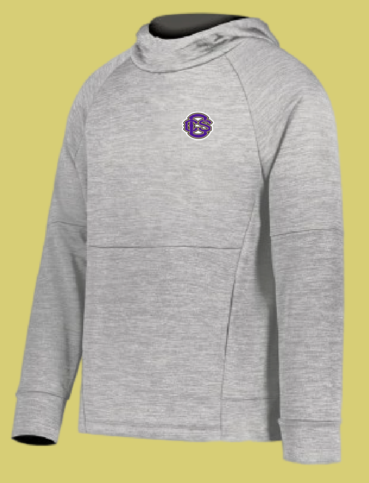 Fan Gear (8273) Holloway All-Pro Performance Hoodie (heather)