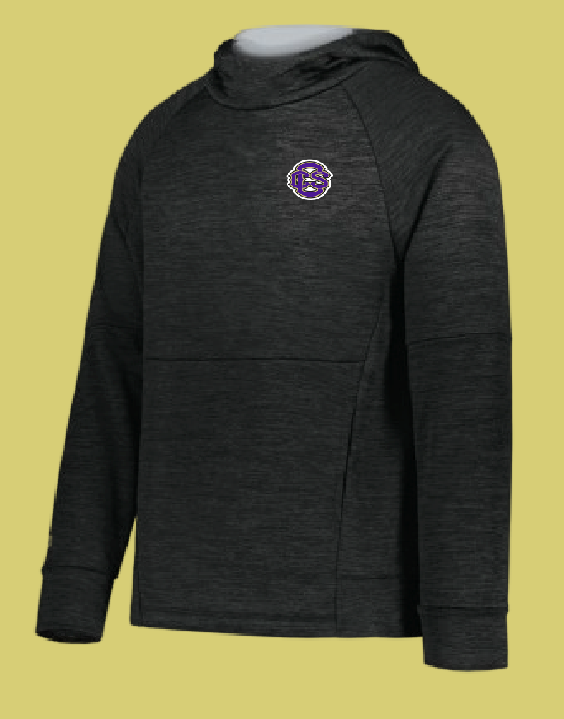 Fan Gear (8273) Holloway All-Pro Performance Hoodie (black)