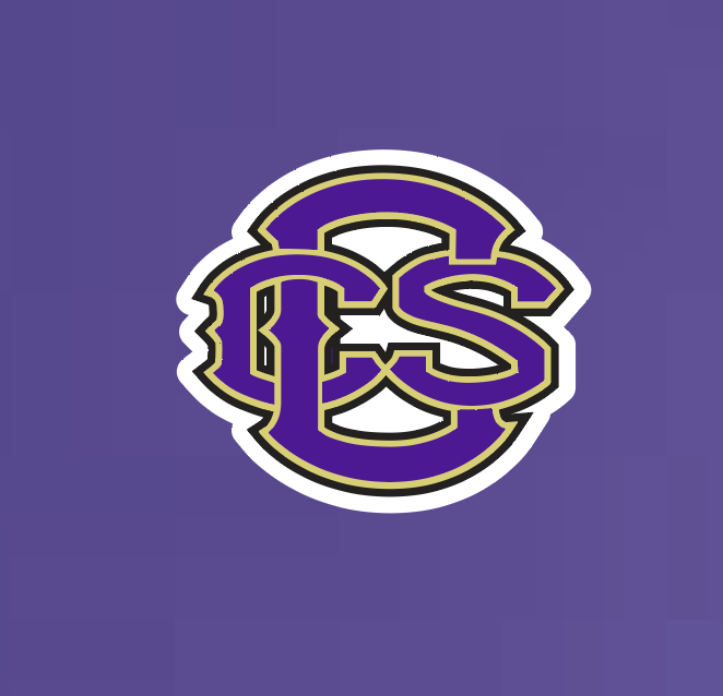 Fan Gear (8273) "CCS Logo" Design Nike Dri-Fit Polo (purple)